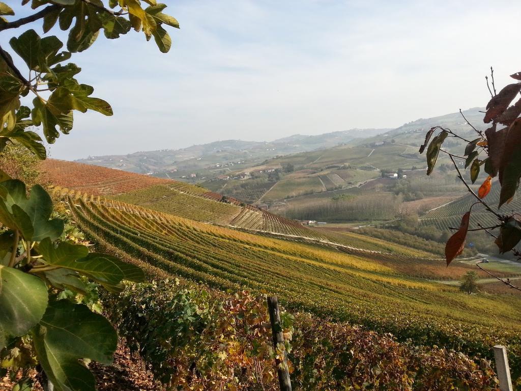 Villa Barbero Alba Langhe Mango المظهر الخارجي الصورة